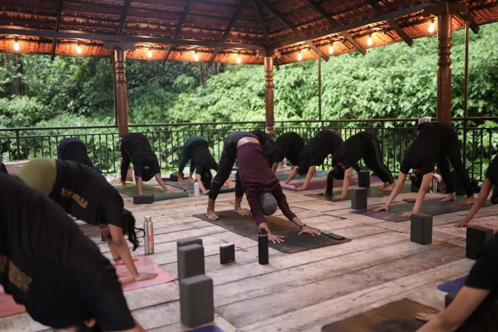 Thyroid Yoga Chennai